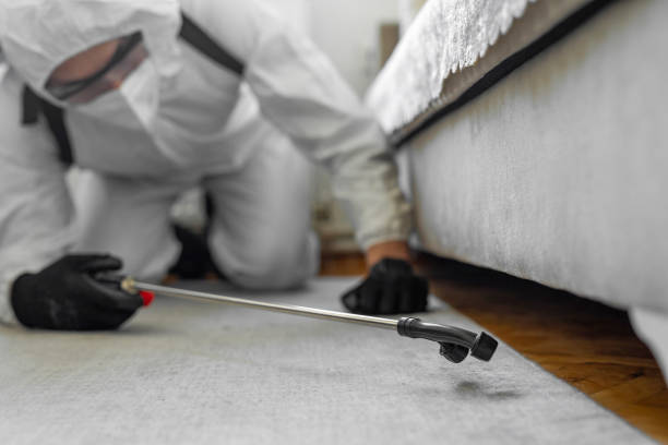 Professional Bed Bug Control technician working in Woodbury, MN
